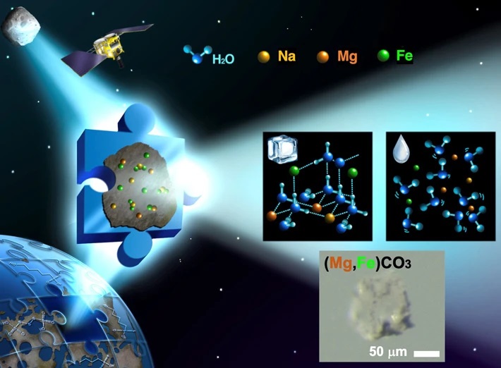 小惑星リュウグウに存在するマグネシウム炭酸塩の形成史と始原的なブライン（brine）の化学進化を解明