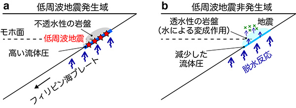 深部低周波地震の発生域（a）と非発生域（b）における水の挙動の模式図。
