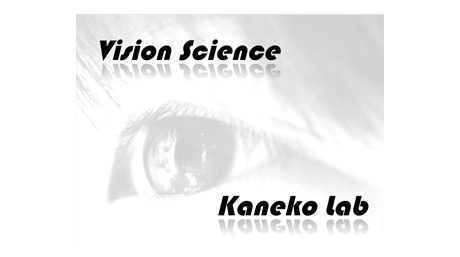 Kaneko Laboratory