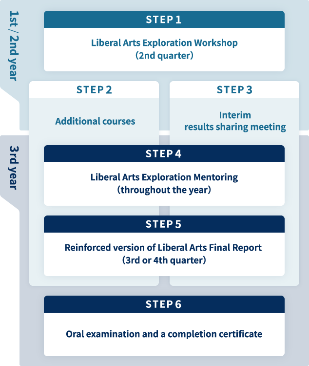 STEPS: The Outline of the Program