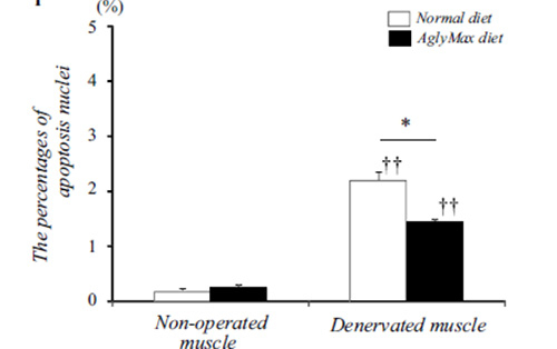 Figure 2. Figure 2. Comparison of muscle cell death