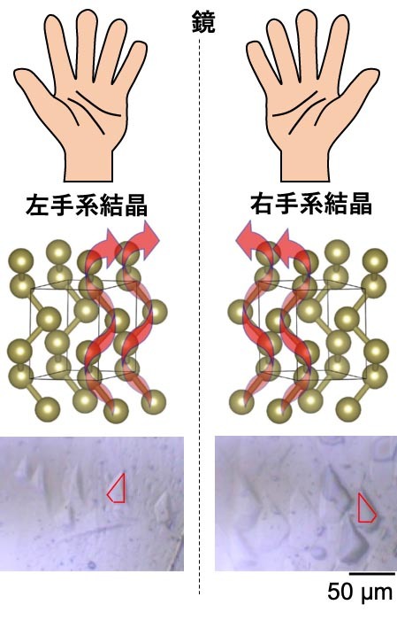 図1. テルル単体の結晶構造。鏡写しの関係にある左手系結晶（左上）と右手系結晶（右上）が存在する。それらは、熱濃硫酸による腐食孔の形（下段の赤枠）で判別することができる。