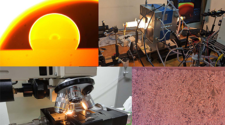 Hayashi Miyuki Laboratory 