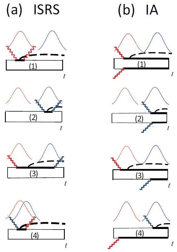 Figure 1. Double-sided Feynman diagrams for the density matrices