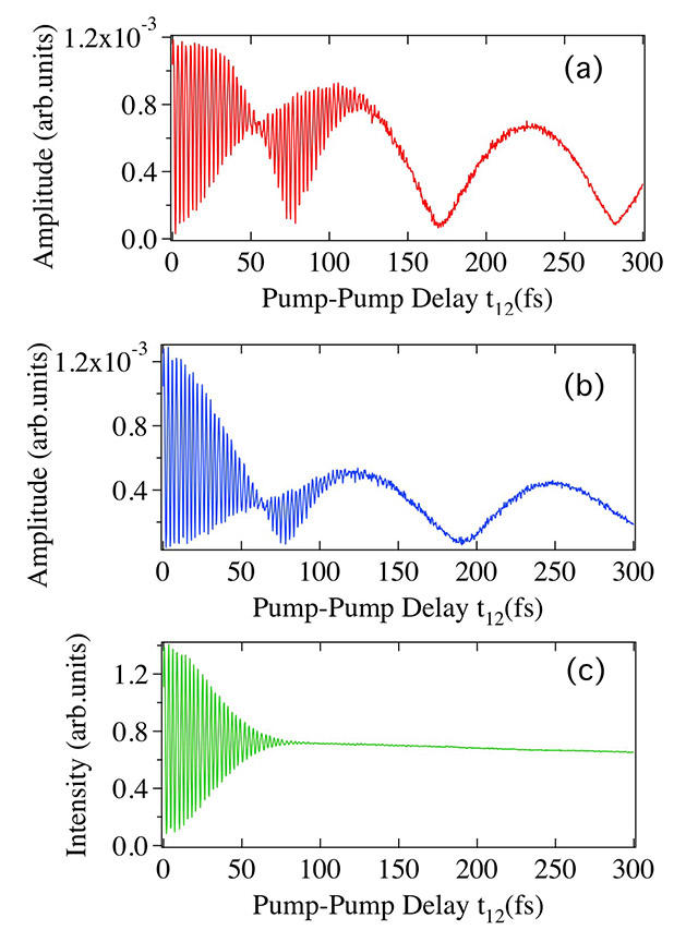 Figure 2. Interference fringes of optical phonons