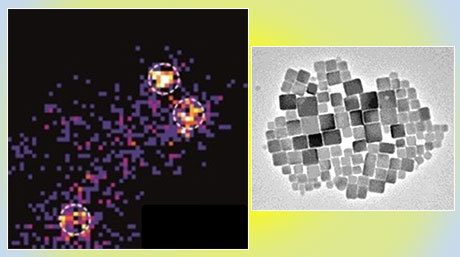 Single-particle spectroscopy of CsPbBr3 perovskite nanocrystals reveals the origin low electroluminescence efficiency