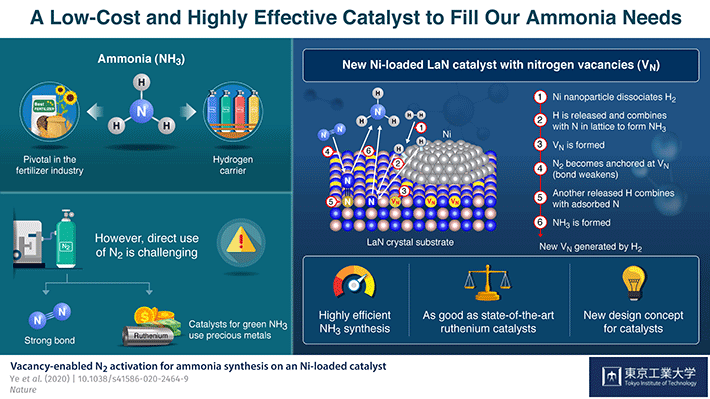 A Low-Cost and Highly Effective Catalyst to Fill Our Ammonia Needs