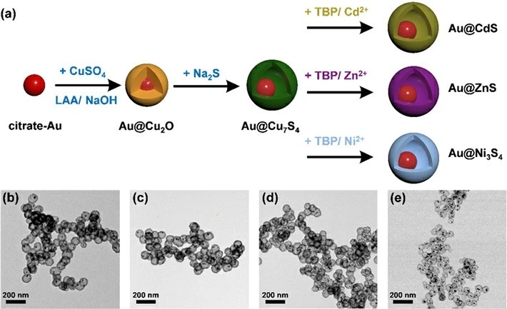 Figure 1. (a) Schematic depiction of the synthetic procedure for Au@Cu7S4, Au@CdS, Au@ZnS, and Au@Ni3S4. (b-e) shows the corresponding TEM images. The synthesis of yolk-shell nanostructures involves sulfidation on an Au@Cu2O core-shell nanocrystal template to convert the shell composition to various metal sulphides.