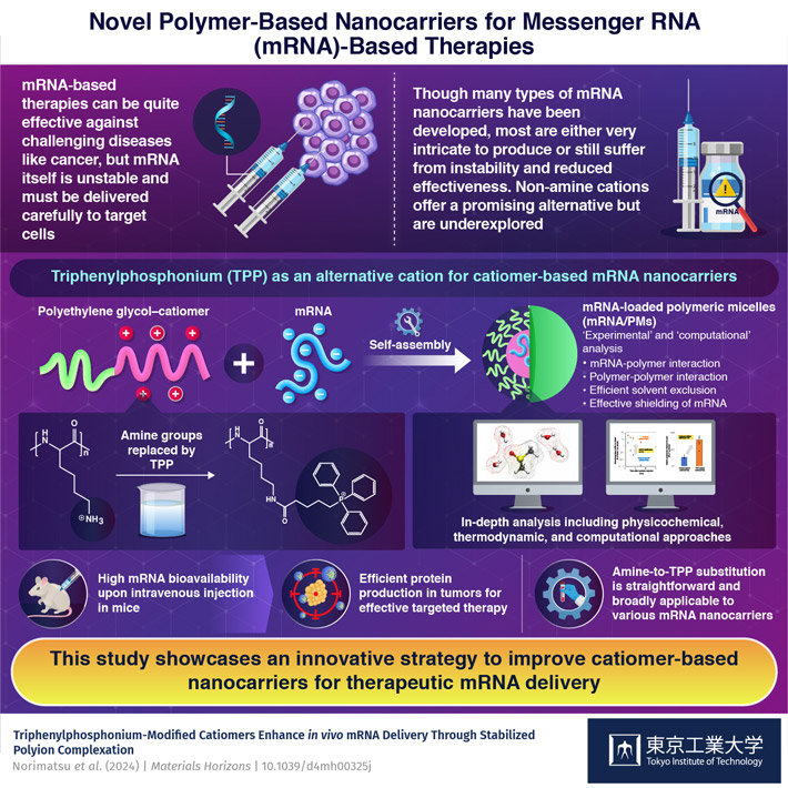 Novel Polymer-Based Nanocarriers for Messenger RNA (mRNA)-Based Therapies