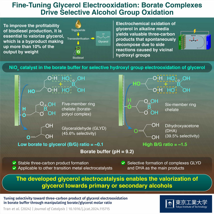 Fine-Tuning Glycerol Electrooxidation: Borate Complexes Drive Selective Alcohol Group Oxidation