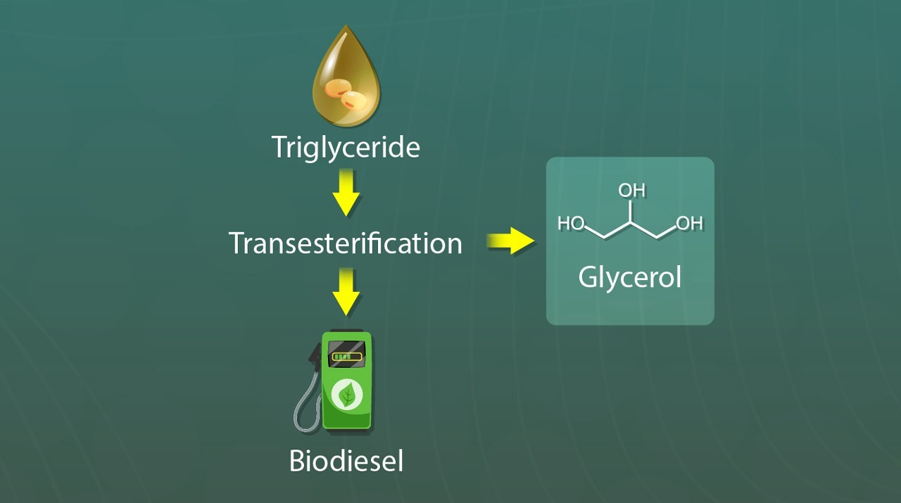 Turning Glycerol into Gold: A New Process Makes Biodiesel More Profitable