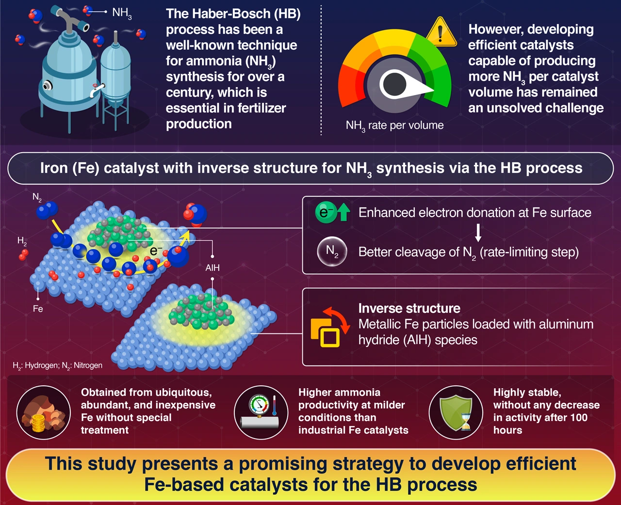 Ammonia Synthesis Over an Iron Catalyst with an Inverse Structure, Hattori et al. (2024) | Advanced Science | 10.1002/advs.202410313