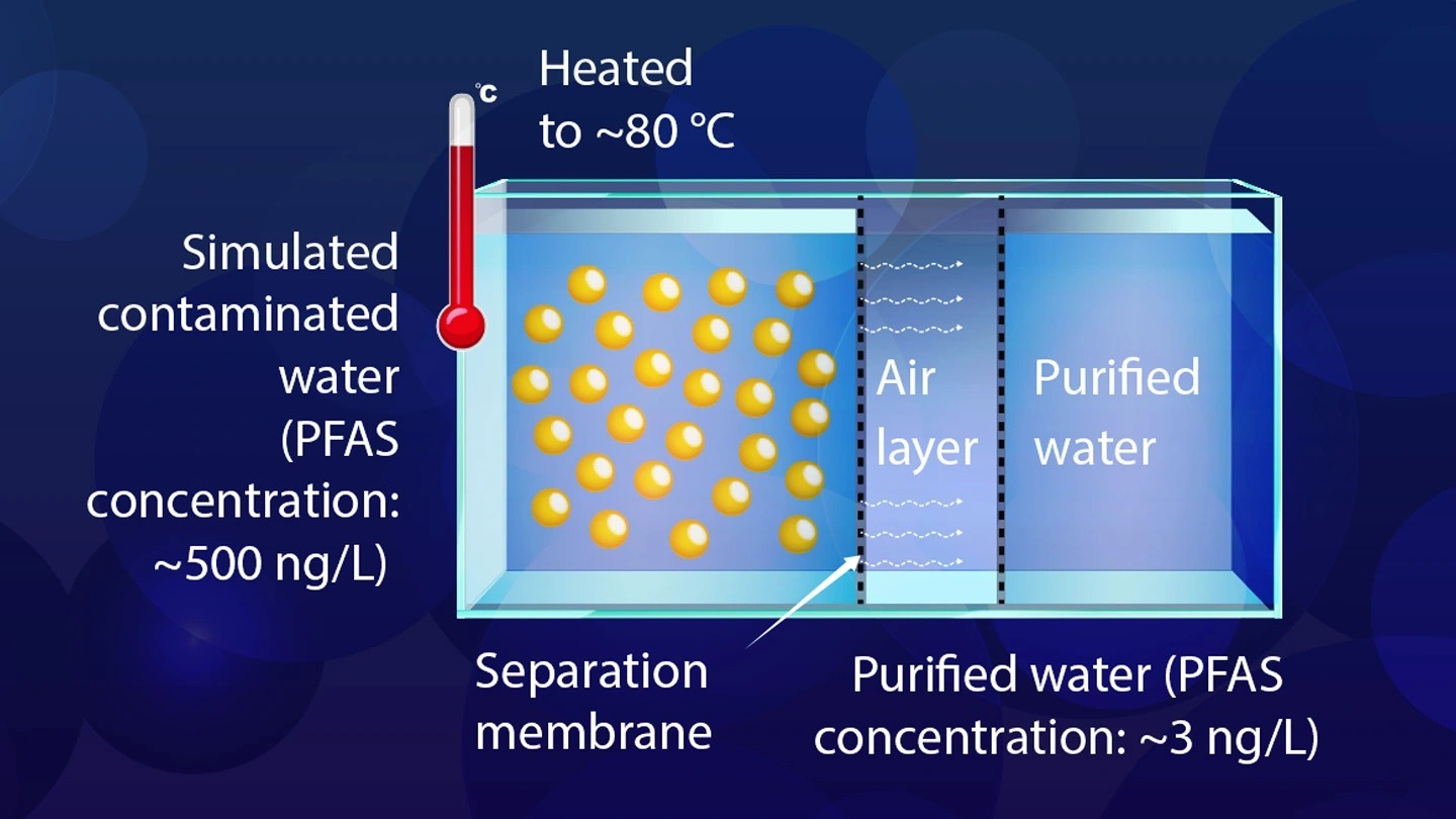 Novel Carbon-Based Materials to Remove Hazardous “Forever Chemicals” in Water