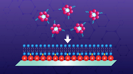 New tool reveals how DNA nanostructures interact with cell membranes