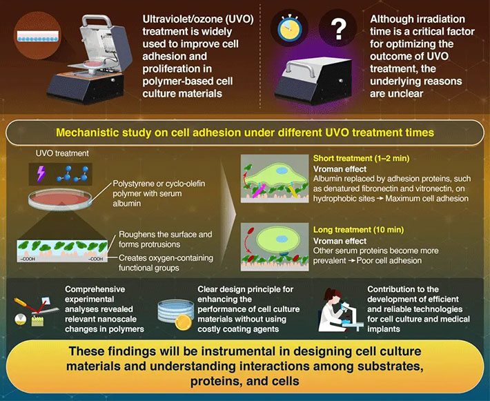 Understanding the Mechanisms of Cell Adhesion on Plastic Cell Culture Materials