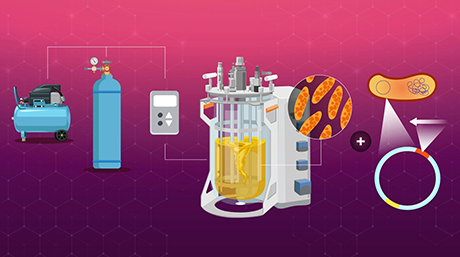 Low carbon dioxide levels improve microbial production of biodegradable plastic
