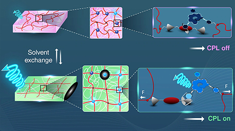 A mechanically tunable molecular switch for circularly polarized light emission