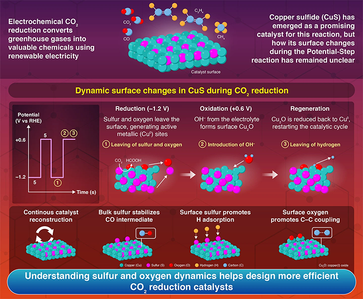 Investigation of Anion Role during Electrochemical CO2 Reduction on Copper Sulfide (CuS) by Potential-Step Method