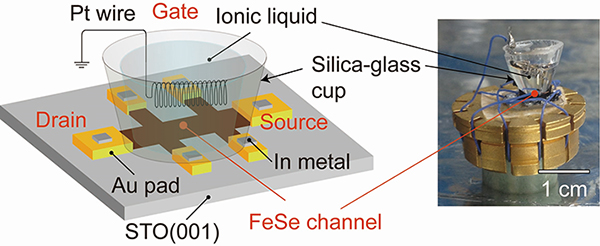 Schematic illustration (left) and photograph (right) of electric double-layer transistor (EDLT).