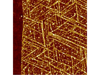 A top view of GrBP5 nanowires on a 2-D surface of graphene.