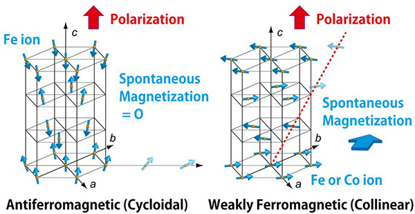 Portions of the BiFeO3 lattice of cycloidal and collinear phases with only Fe ions are shown at left and right, respectively. The arrows indicate the Fe3+ moment direction. The ground state of BiFeO3 had a cycloidal spin structure, which is destabilized by substitution of Co for Fe and at higher temperatures. The spin magnetic moments compensate with each other in the left panel, but canting between neighboring spins leads to the appearance of weak ferromagnetism in the right panel.