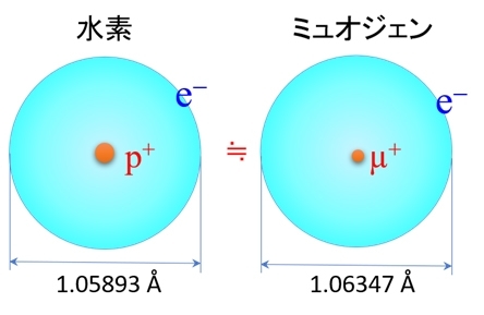 図1. 擬水素としてのミュオン。原子の大きさを決める電子軌道の直径は水素と比べて0.4%の違いしかなく、ミュオンは水素の軽い同位体元素（＝ミュオジェン（Muogen）（※5））とみなせる。H. Okabe et al., Phys. Rev B 98,075210 （2018）.