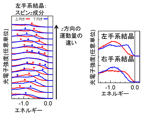 図2. 左手系結晶におけるスピン分解・角度分解光電子分光スペクトル。z方向の運動量を持つ電子のスピンが、z方向に向いていることが観測されている （左）。左手系結晶と右手系結晶でスピンの向きが反転する様子を示している（右）。