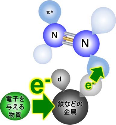 図4. 金属への電子供与による窒素分子の分解加速