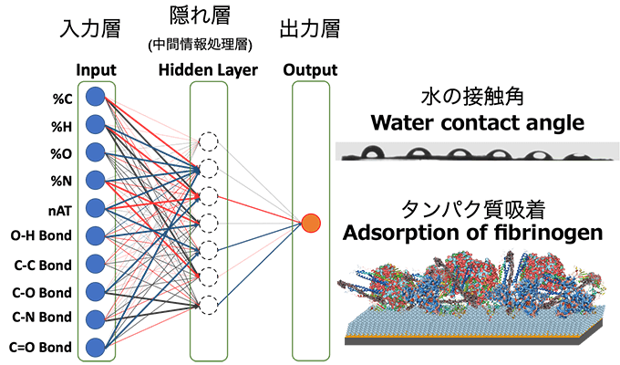 人工ニューラルネットワークを用いた機械学習の概略図
