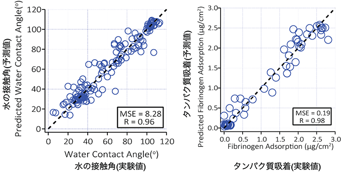 機械学習を用いた水の接触角とタンパク質吸着量の実験値と予測値の比較。点線（y = x）に近いほど予測が正確であることを示す。