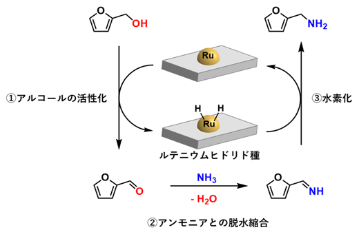図3. Borrowing Hydrogen法によるアルコールとアンモニアからの第一級アミン合成