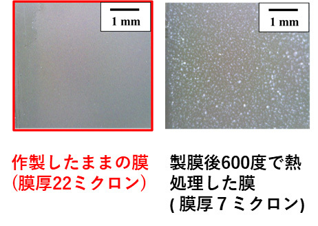 図1. 作製した膜の表面の光学顕微鏡写真。240℃で作製したままの膜（左）は厚くても割れ（クラック）等がないのに対し、作製後に600℃で熱処理した膜（右）には表面に多くの割れが観察される。