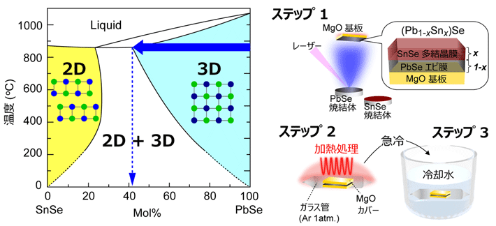 図2. 2D SnSe－3D PbSeの平衡状態図（左）、高温固相反応と急冷処理を組み合わせた薄膜成長法（右）