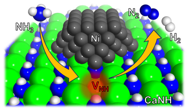 図1. Ni/CaNH上におけるアンモニア分解反応のメカニズム。NH空孔（VNH）はCaNHとNiの界面に形成され反応性の高い電子が存在している。電子とアンモニア分子は速やかに反応する。