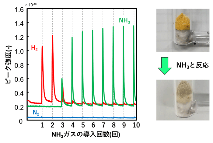 図2. CaNH表面の欠陥とNH3分子の反応を50℃で行った結果（左図）と色の変化（右図）。欠陥とNH3分子が反応し、NH3分子の吸着とH2の発生が起こる。 表面の欠陥が全て反応に使われるとNH3分子は吸着しなくなる。また、反応前は欠陥に存在する電子によってオレンジ色をしているが、反応後は電子が存在しないため無色になる。