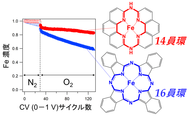 図3 放射光分光によるリアルタイム分析。鉄フタロシアニン（青）の鉄イオンは溶出して強度が弱くなるのに対し、新たに開発された十四員環鉄錯体（赤）中の鉄イオンは優れた安定性を示している。