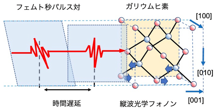 図1 理論モデルで考えた光パルス対によるコヒーレント制御配置の概念図。ガリウムヒ素の単結晶の[001]方向に垂直な平面に垂直方向に、2つのフェムト秒光パルスを照射する。各パルスの光電場振動平面の角度と、照射のタイミングを自由に制御できる。