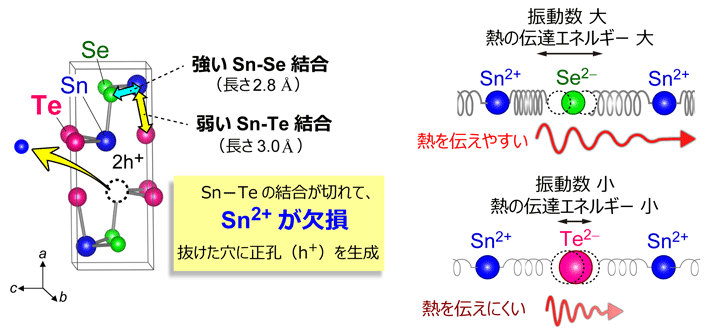 図4. SnSeへのTe置換により、高い電気伝導度と低い熱伝導率が両立されるメカニズム。（左）Sn(Se,Te)の結晶構造とSn—Se・Sn—Te結合の結合距離。（右）Sn—Se結合とSn—Te結合における熱伝導のイメージ図。