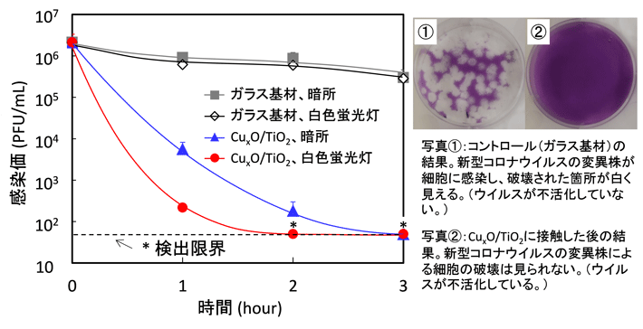 図3. 新型コロナウイルス（デルタ株）の不活化試験結果。CuxO/TiO2はガラス基材にコートした。白色蛍光灯は紫外線カットフィルムを介し、照度1,000ルクスで照射。写真はウイルス感染価の評価結果の一例を示す。