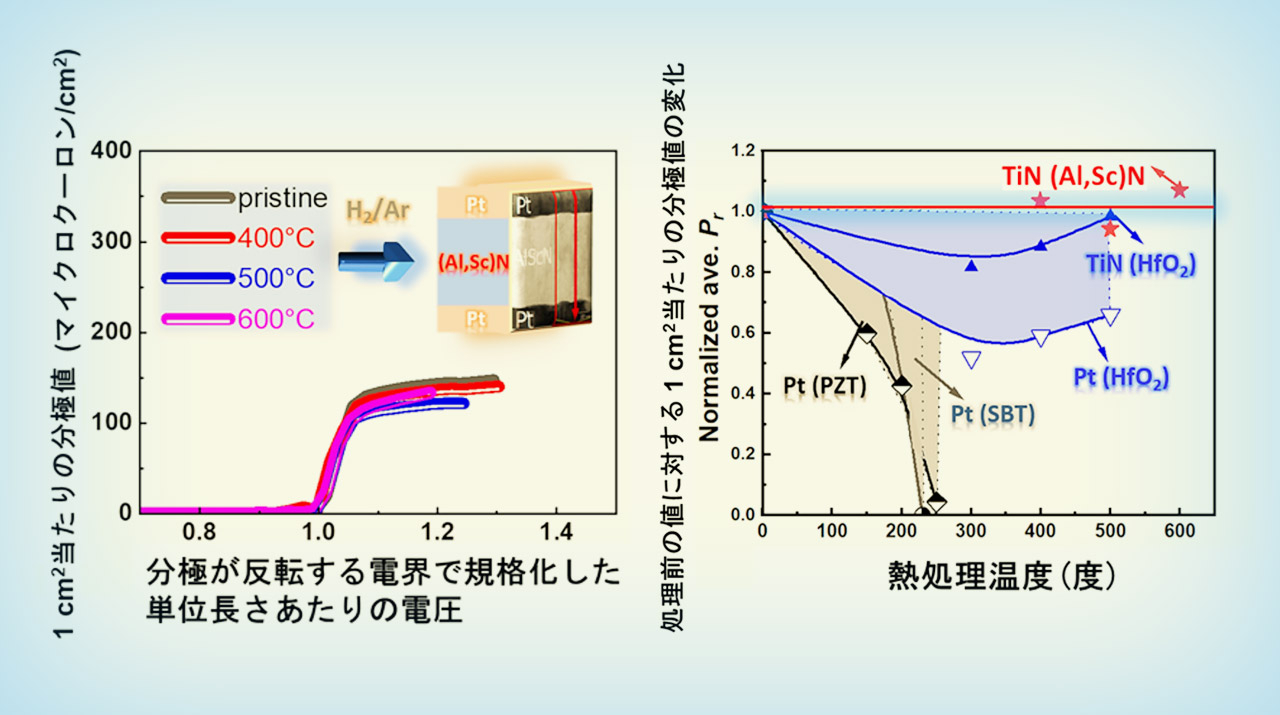 新規窒化物強誘電体薄膜について、水素含有ガス中の熱処理に対する高い耐久性を発見