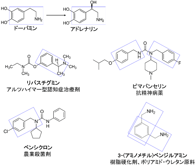 図1 「ベンゼン環＋炭化水素＋アミン」の構造を持つ分子 