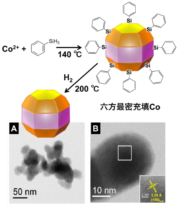 図5 六方最密充填Coナノ粒子の合成と電子顕微鏡写真 