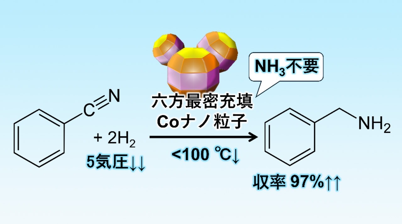 アミンを高収率で選択合成する環境負荷の低いコバルトナノ粒子触媒