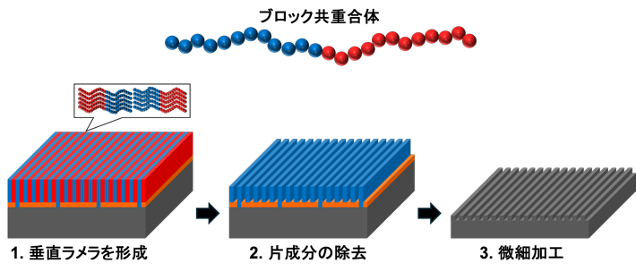 図1 ブロック共重合体をボトムアップ材料として用いる半導体微細加工の模式図 