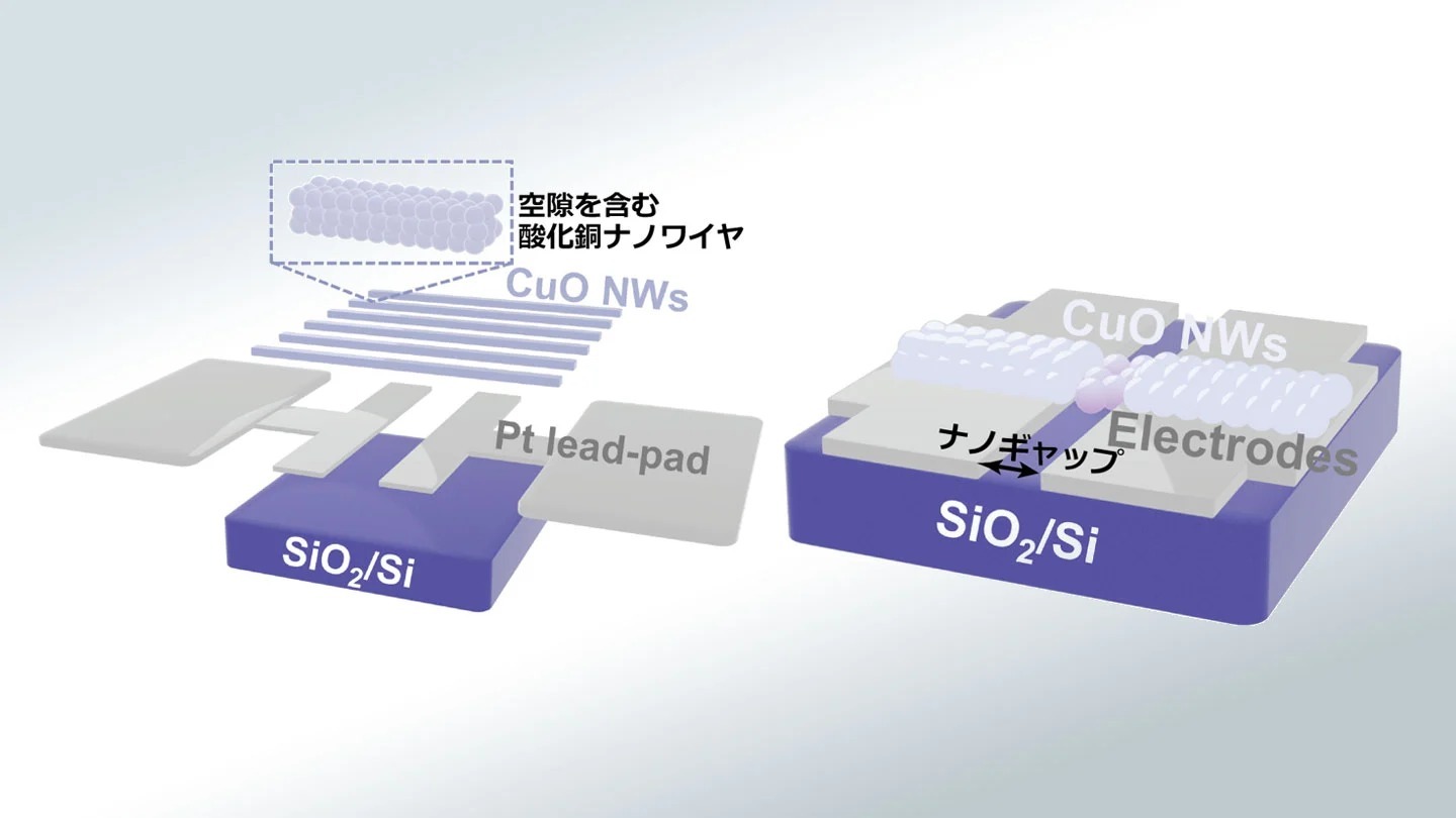 超高感度ナノワイヤナノギャップガスセンサの開発に成功