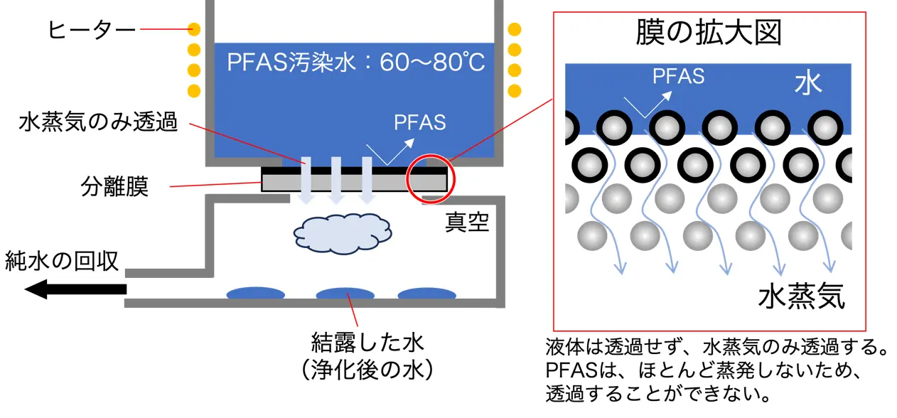 開発した膜蒸留システムの概略図