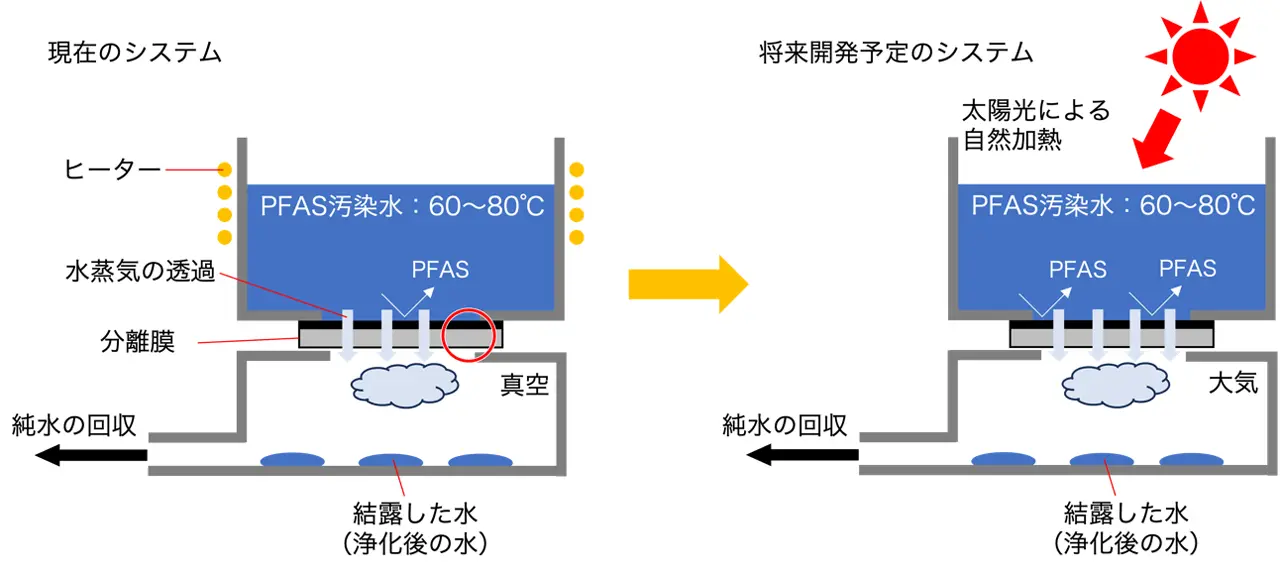 図1. 現在のシステムと将来開発する予定のシステム。本実験（左）では、加速実験とエネルギー効率の試算を行うため、液の加熱装置と真空装置で電気を使用した。今後は電気不使用のシステム（右）への展開を予定している。どちらのシステムでも、FPASは分離膜を透過できず、FPAS汚染水が濃縮される