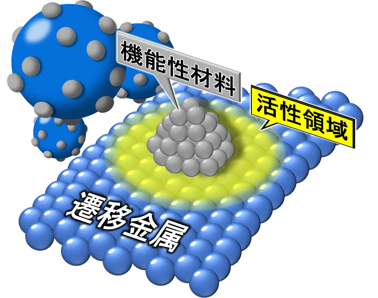 図4. 触媒構造 B. 担持触媒構造：逆転構造：高密度（本研究）