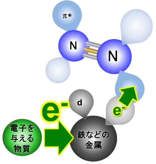 図5. 金属への電子供与による窒素分子の分解加速