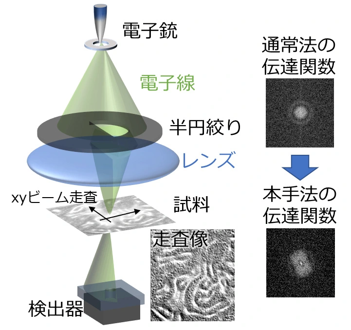 図1. 半円開口絞りを用いた走査透過電子顕微鏡法の模式図